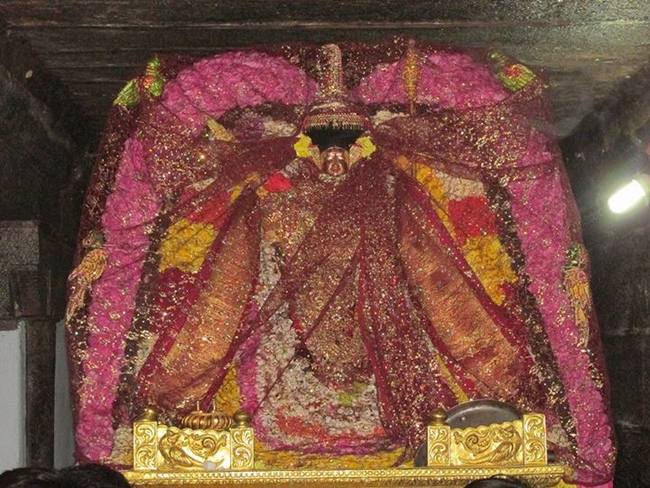 Thiruvahindrapuram  Pagal pathu day 7 2014-11