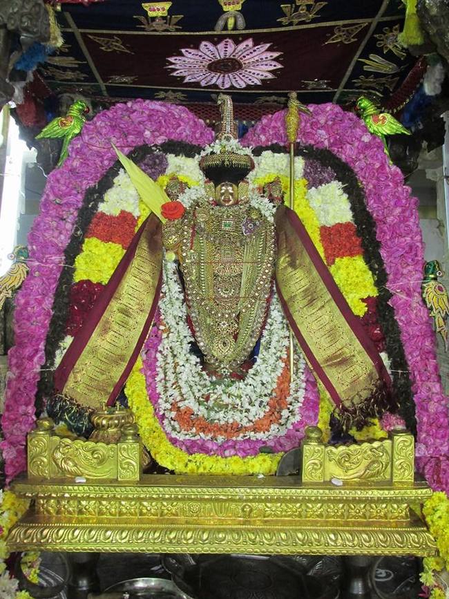 Thiruvahindrapuram  Pagal pathu day 7 2014-12