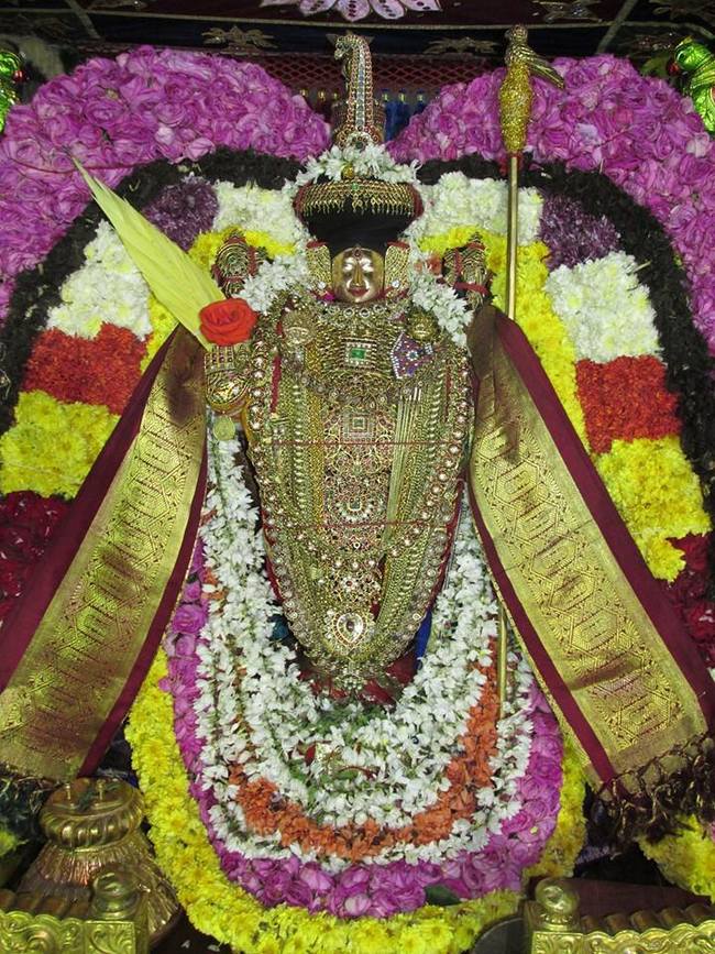 Thiruvahindrapuram  Pagal pathu day 7 2014-13