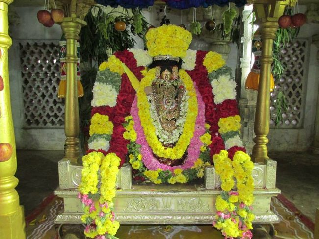 Thiruvahindrapurami Pagal pathu utsavam day 7 2014 03jpg