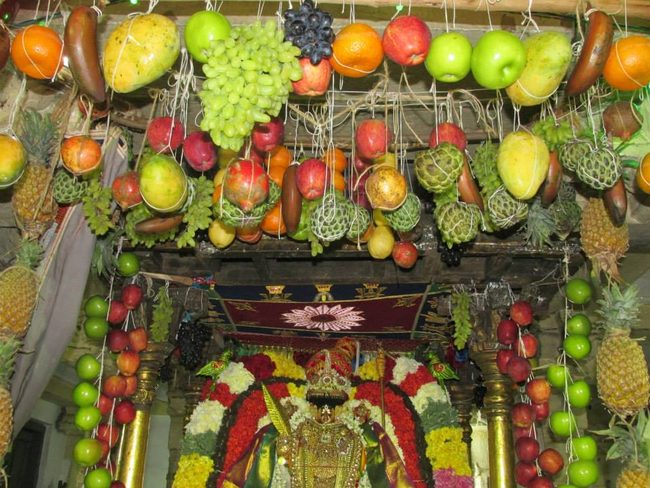 Thiruvahindrapurami Pagal pathu utsavam day 7 2014 12jpg