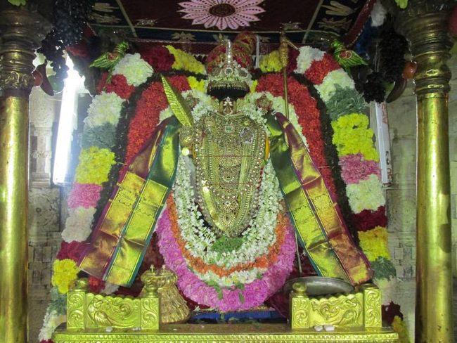 Thiruvahindrapurami Pagal pathu utsavam day 7 2014 18jpg