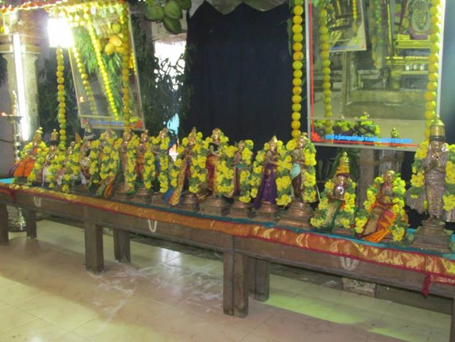 Thiruvahindrapurami Pagal pathu utsavam day 7 2014 19jpg