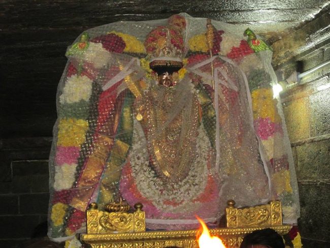 Thiruvahindrapurami Pagal pathu utsavam day 7 2014 20jpg