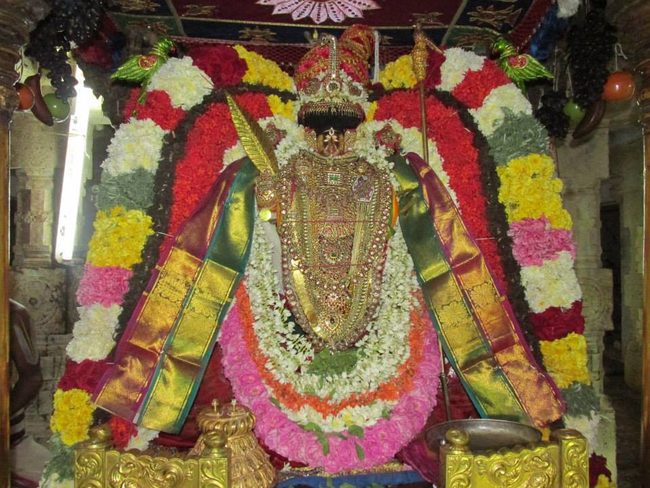Thiruvahindrapurami Pagal pathu utsavam day 7 2014 21jpg