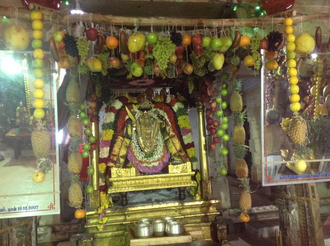 Thiruvahindrapurami Pagal pathu utsavam day 7 2014 22jpeg