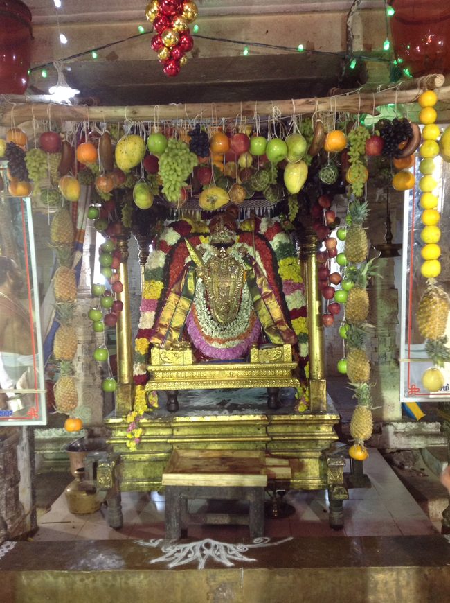 Thiruvahindrapurami Pagal pathu utsavam day 7 2014 23jpeg