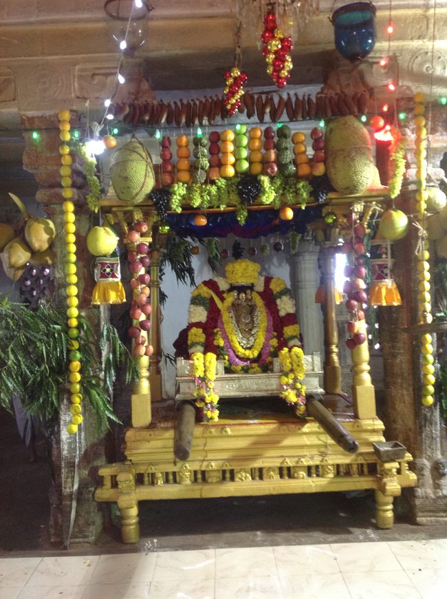 Thiruvahindrapurami Pagal pathu utsavam day 7 2014 25jpeg