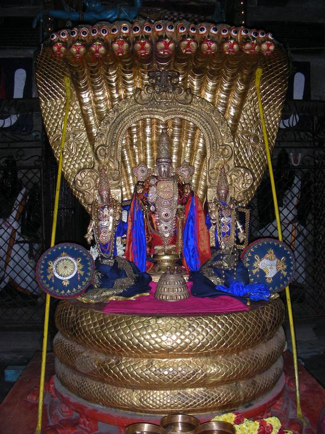Thiruvallur Pagal pathu 6th day 2014-01