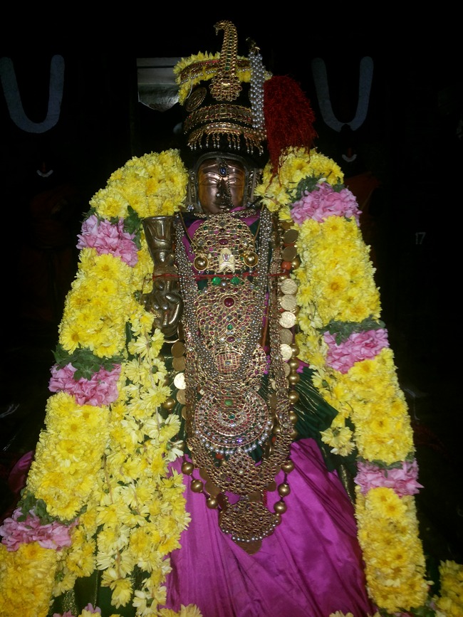 Thiruvallur Sri Andal Neerattal Utsavam 2014-02