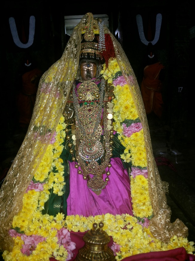Thiruvallur Sri Andal Neerattal Utsavam 2014-04