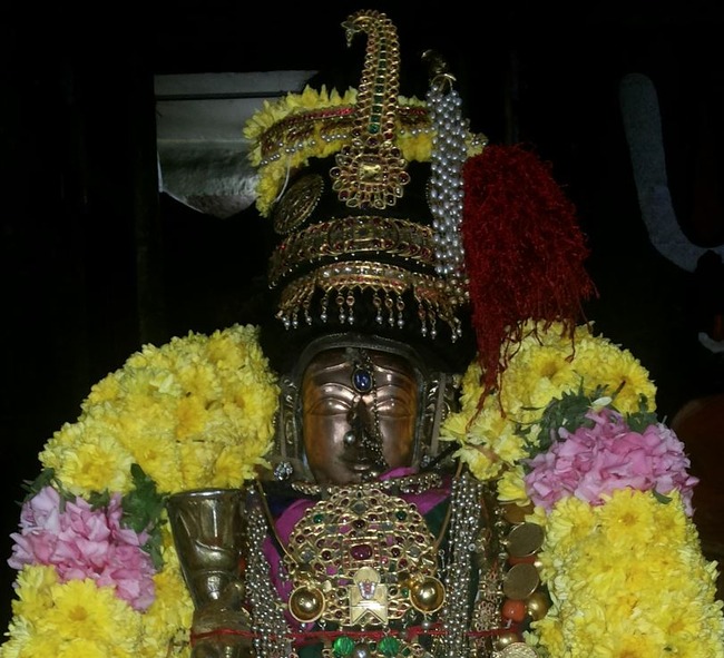 Thiruvallur Sri Andal Neerattal Utsavam 2014-09
