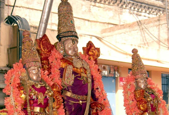 Thiruvallur Thai Brahmotsavam Chandra Prabai  2014 -01