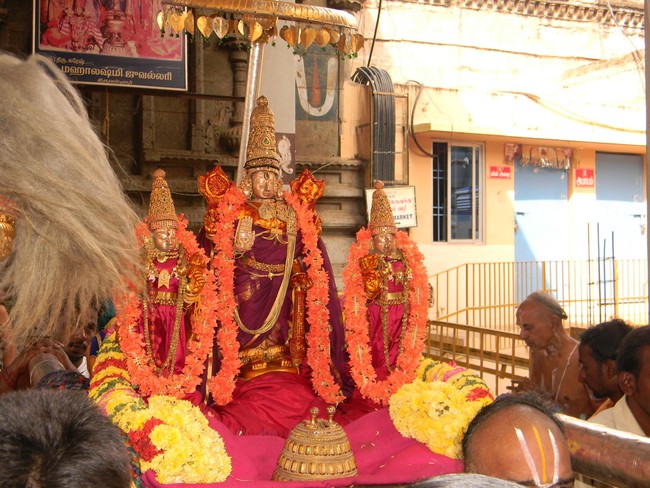 Thiruvallur Thai Brahmotsavam Chandra Prabai  2014 -11
