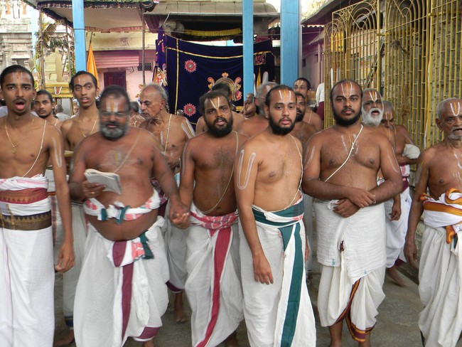 Thiruvallur Thai Brahmotsavam Hanumantha Vahanam 2014  -03