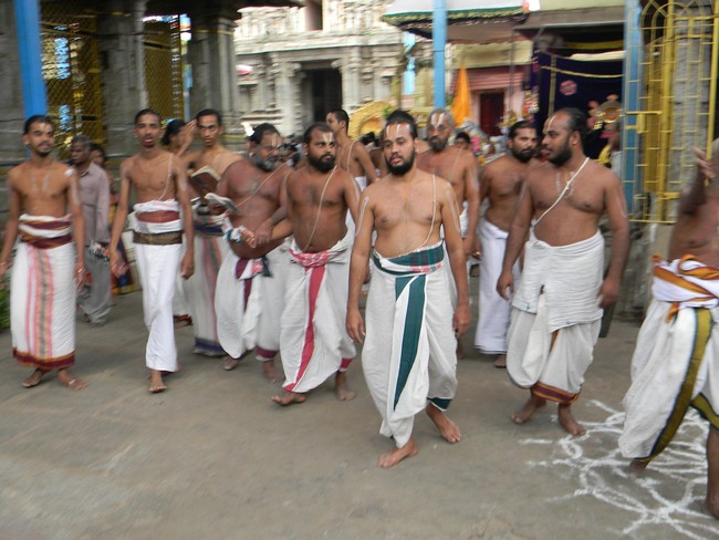 Thiruvallur Thai Brahmotsavam Hanumantha Vahanam 2014  -04