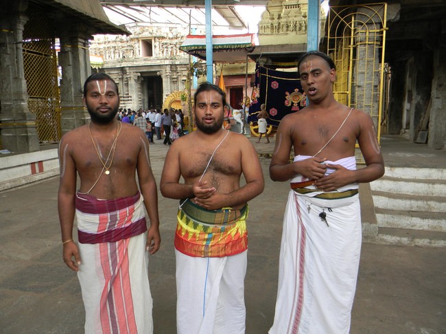 Thiruvallur Thai Brahmotsavam Hanumantha Vahanam 2014  -06