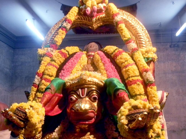 Thiruvallur Thai Brahmotsavam Hanumantha Vahanam 2014  -07