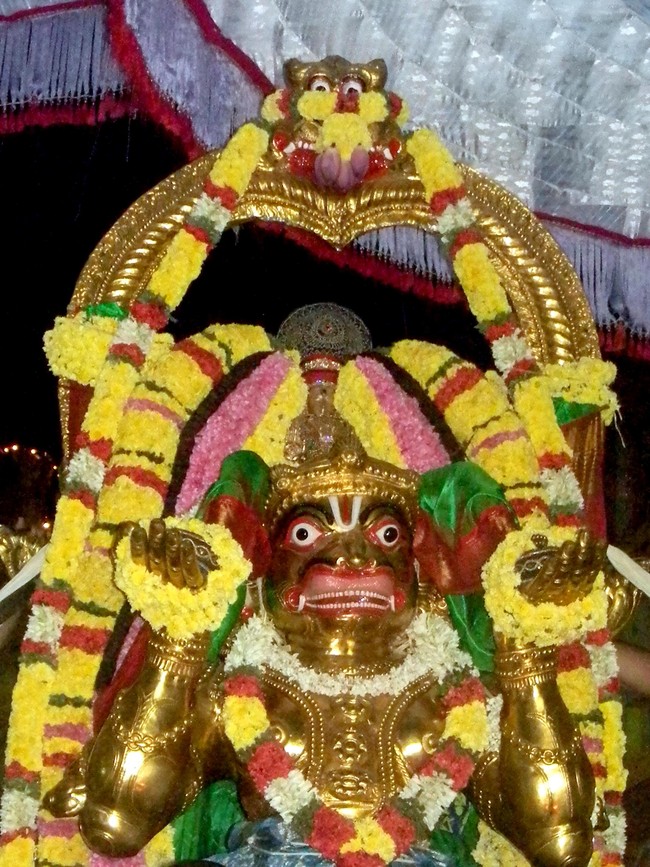 Thiruvallur Thai Brahmotsavam Hanumantha Vahanam 2014  -12