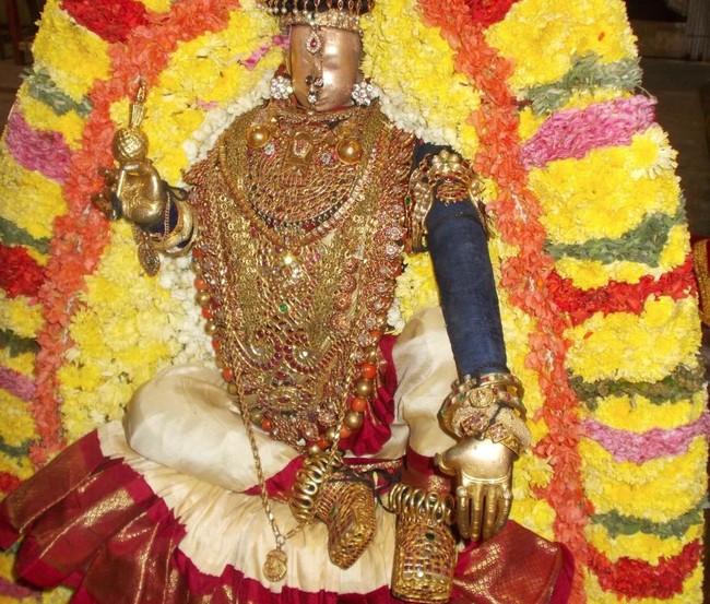 Thiruvallur Thai Brahmotsavam Nachiyar Thirukolam  2014 -01