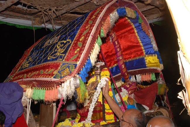 Thiruvallur Thai Brahmotsavam Nachiyar Thirukolam  2014 -03