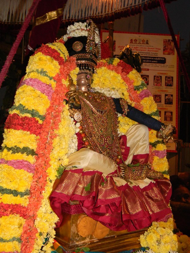 Thiruvallur Thai Brahmotsavam Nachiyar Thirukolam  2014 -19