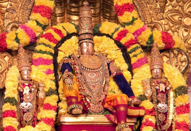 Thiruvallur Thai Brahmotsavam Sesha Vahanam 2014 -01