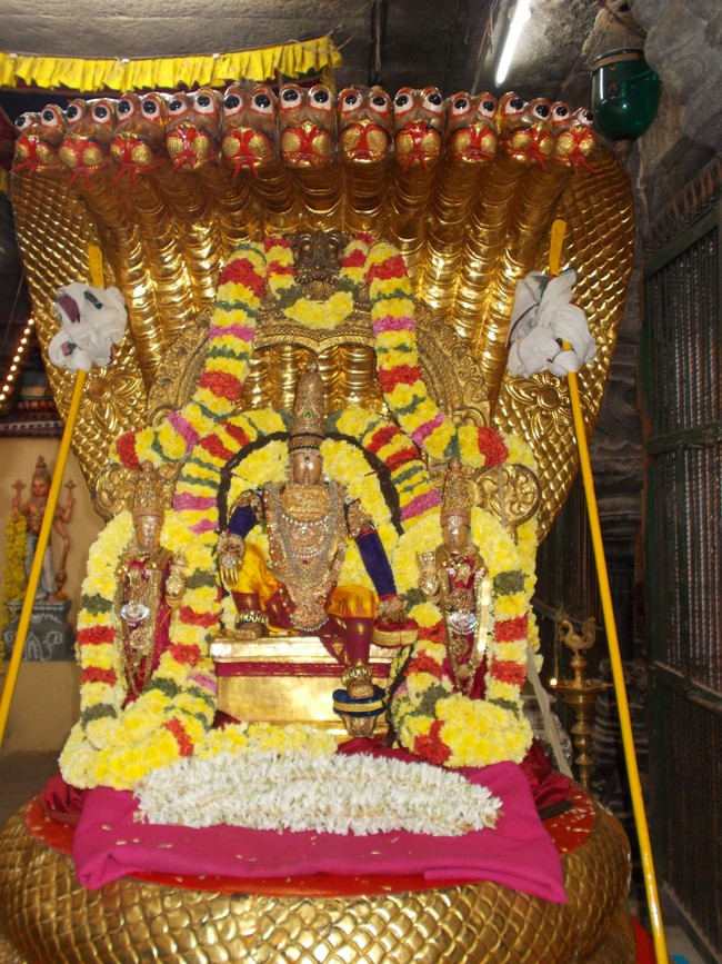Thiruvallur Thai Brahmotsavam Sesha Vahanam 2014 -05