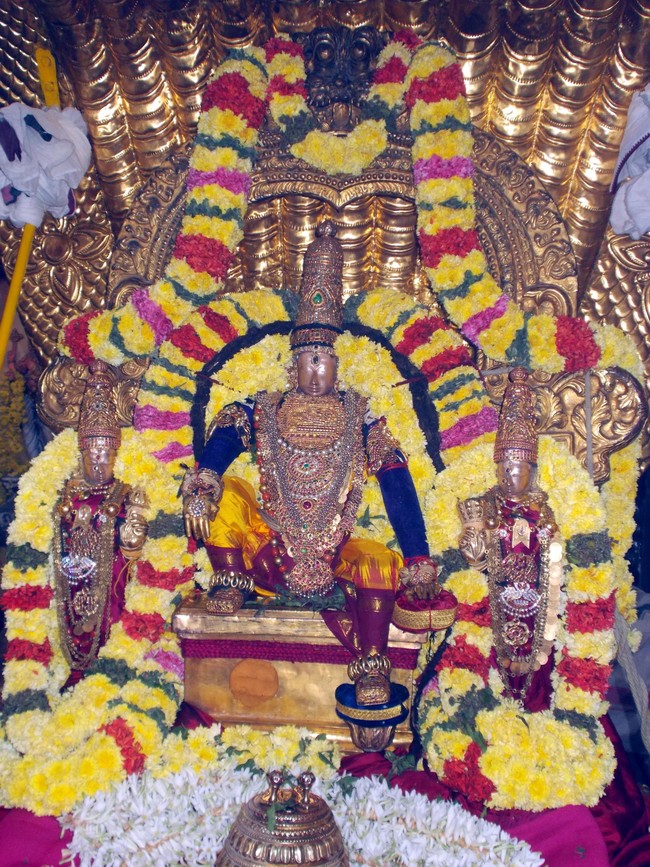 Thiruvallur Thai Brahmotsavam Sesha Vahanam 2014 -06