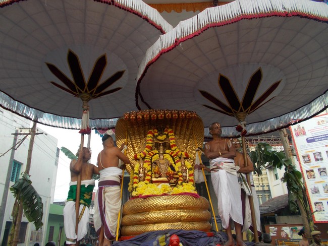 Thiruvallur Thai Brahmotsavam Sesha Vahanam 2014 -07