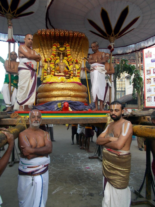 Thiruvallur Thai Brahmotsavam Sesha Vahanam 2014 -08