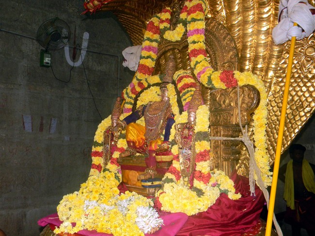 Thiruvallur Thai Brahmotsavam Sesha Vahanam 2014 -10