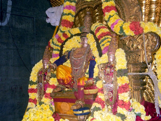Thiruvallur Thai Brahmotsavam Sesha Vahanam 2014 -12