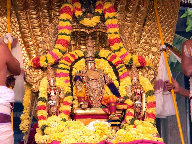 Thiruvallur Thai Brahmotsavam Sesha Vahanam 2014 -14