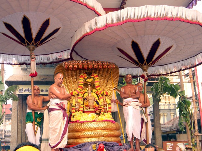 Thiruvallur Thai Brahmotsavam Sesha Vahanam 2014 -15