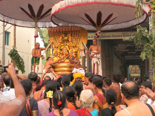 Thiruvallur Thai Brahmotsavam Sesha Vahanam 2014 -18
