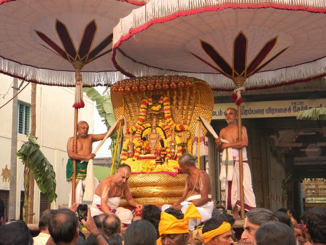 Thiruvallur Thai Brahmotsavam Sesha Vahanam 2014 -19