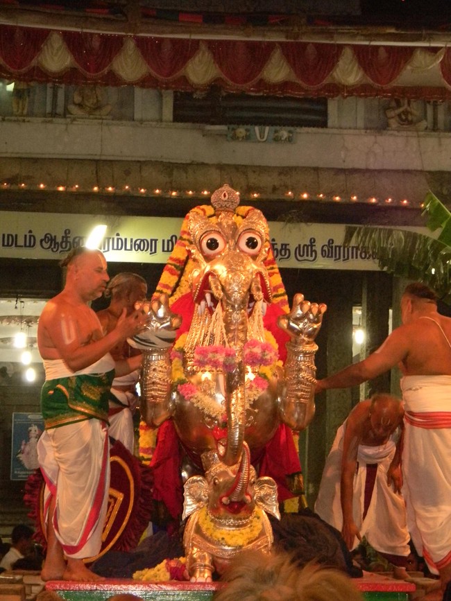 Thiruvallur Thai Brahmotsavam Yali Vahanam  2014 -04