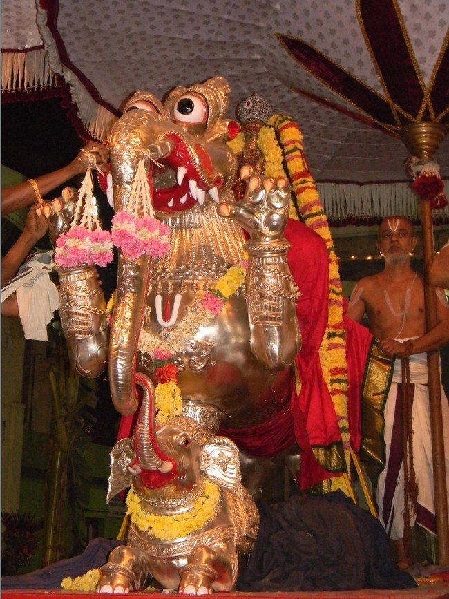 Thiruvallur Thai Brahmotsavam Yali Vahanam  2014 -16