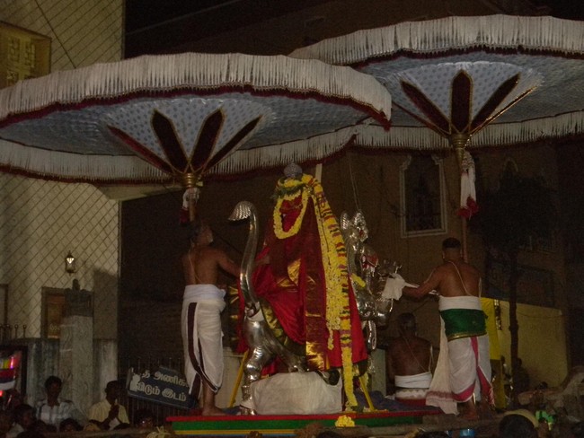 Thiruvallur Thai Brahmotsavam Yali Vahanam  2014 -24