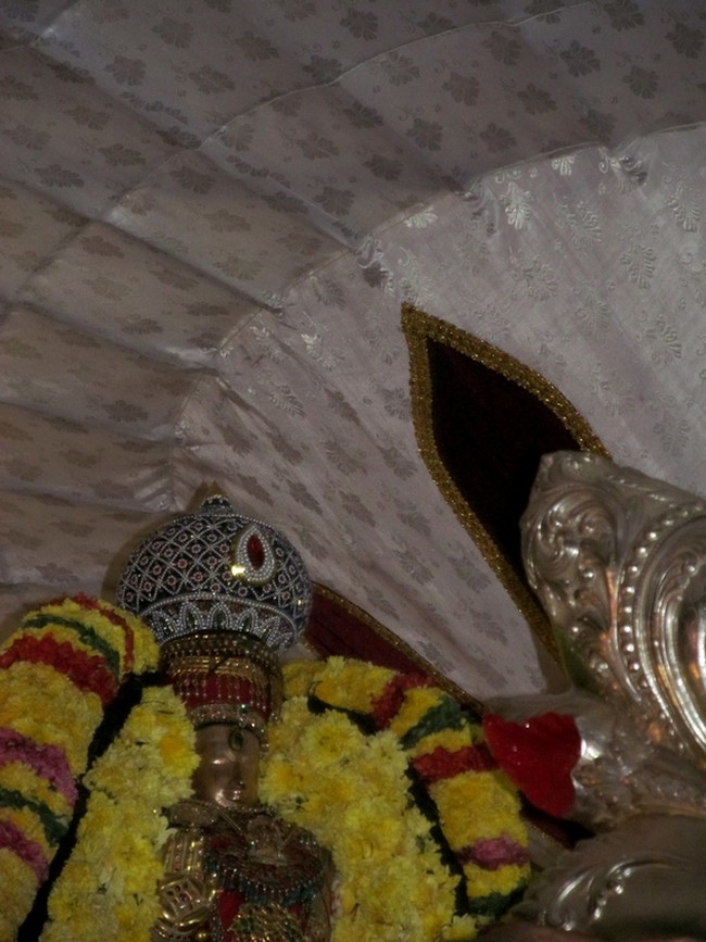 Thiruvallur Thai Brahmotsavam Yali Vahanam  2014 -27