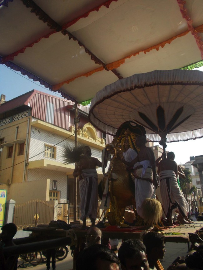 Thiruvallur Thai Brahmotsavam day 2 Hamsa vahanam 2014--01