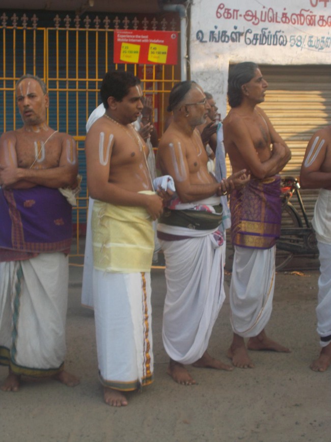 Thiruvallur Thai Brahmotsavam day 2 Hamsa vahanam 2014--05