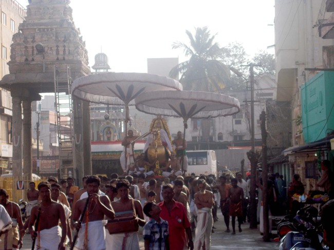 Thiruvallur Thai Brahmotsavam day 2 Hamsa vahanam 2014--08