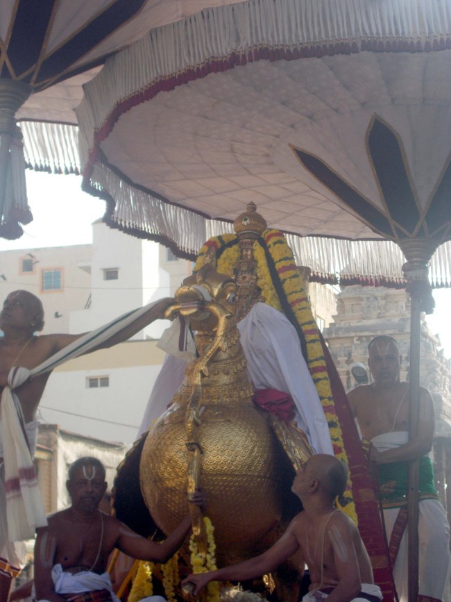 Thiruvallur Thai Brahmotsavam day 2 Hamsa vahanam 2014--11