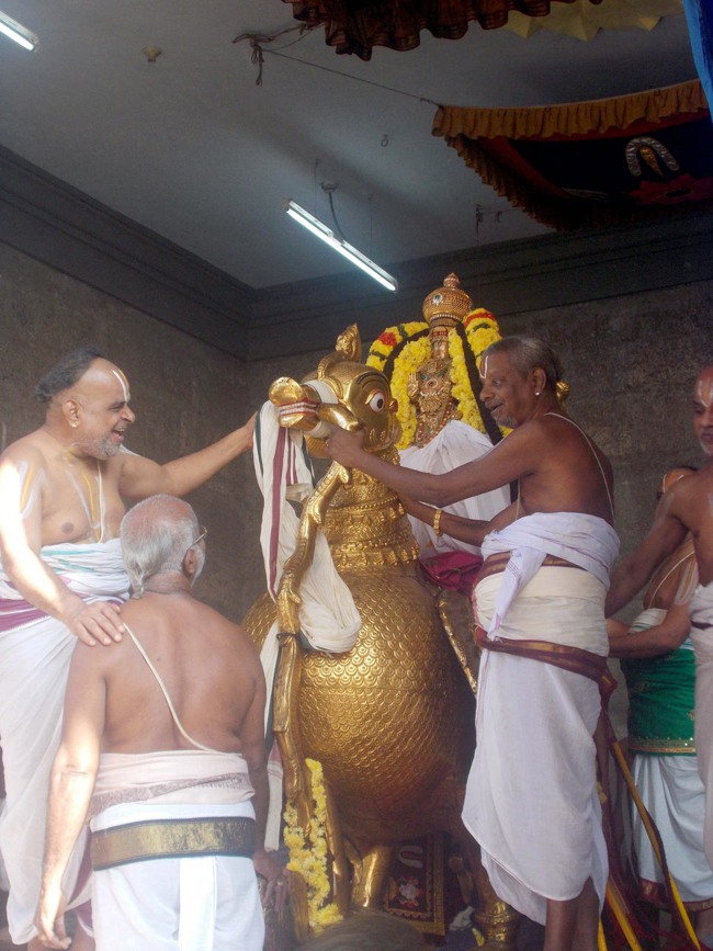 Thiruvallur Thai Brahmotsavam day 2 Hamsa vahanam 2014--19