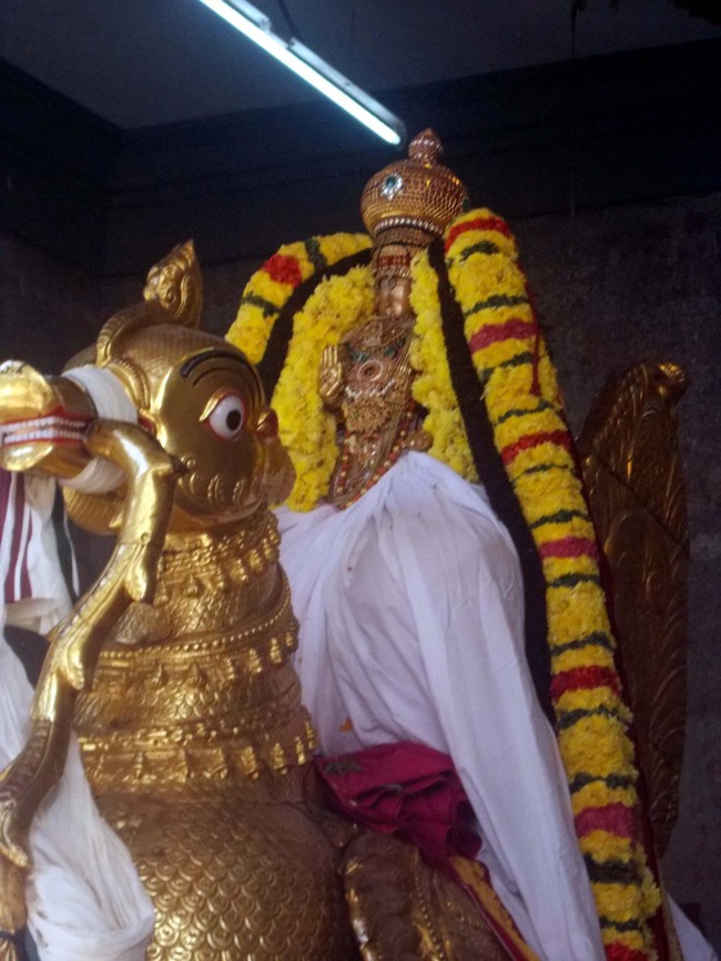 Thiruvallur Thai Brahmotsavam day 2 Hamsa vahanam 2014--20