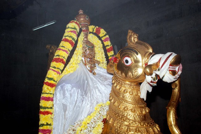 Thiruvallur Thai Brahmotsavam day 2 Hamsa vahanam 2014--22