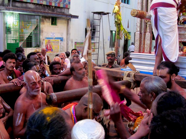 Thiruvallur Thai Brahmotsavam day 6 2014--01