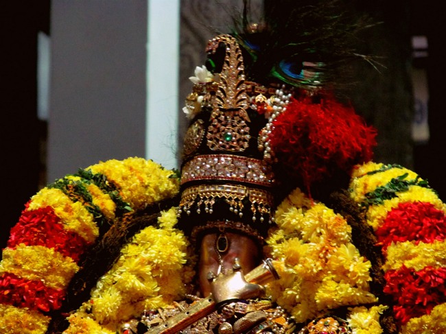 Thiruvallur Thai Brahmotsavam day 6 2014--14